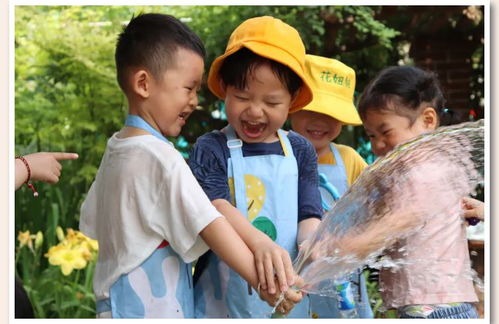 自然園藝視角下的節(jié)氣教育 幼兒園里的夏至可以這樣玩