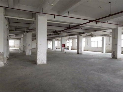 龍州縣幼兒園房屋安全檢測教育局指定單位 龍州縣今日新聞